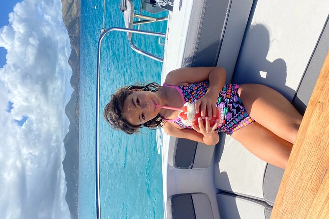 Full Day All Inclusive Private Sxm Trip - Health and Accessibility