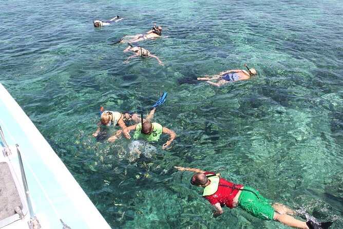 Full Day All Inclusive Sail & Snorkel With Turtles in Rose Island - Traveler Reviews