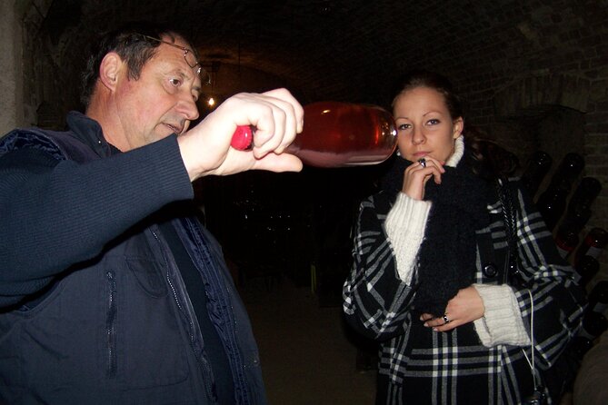 Full Day All-Inclusive Tour in Champagne From Paris in a Minivan - What to Expect