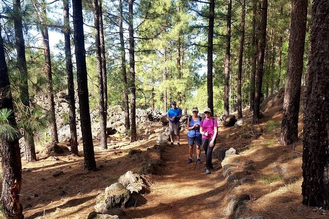 Full-Day Almond Blossom Trail in Tenerife - Meeting and Pickup Information
