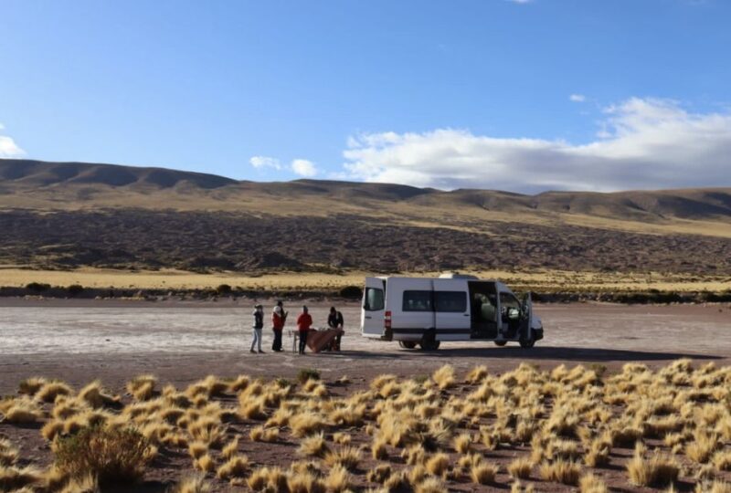 Full Day Altiplanic Lagoons, Red Stones, and Chaxa Lagoon - Itinerary Highlights