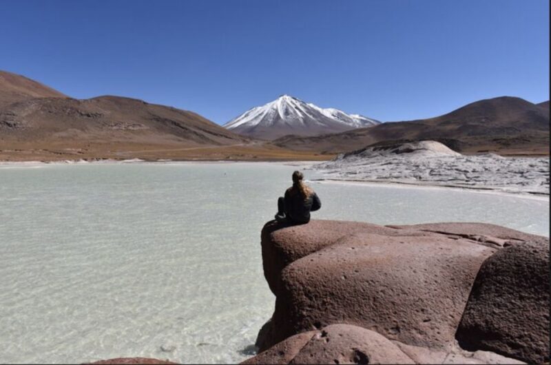 Full Day Altiplanic Lagoons, Red Stones, and Chaxa Lagoon - Chaxa Lagoon