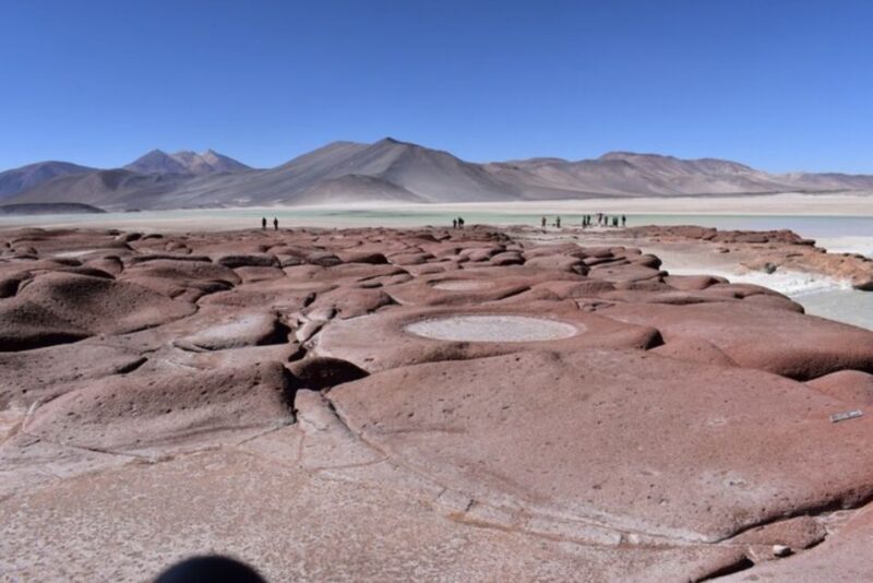 Full Day Altiplanic Lagoons, Red Stones, and Chaxa Lagoon - Altiplanic Lagoons