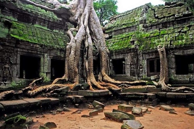 Full Day Angkor Complex by Tuk Tuk - (Optional Sunrise) - Tuk Tuk Transportation Experience