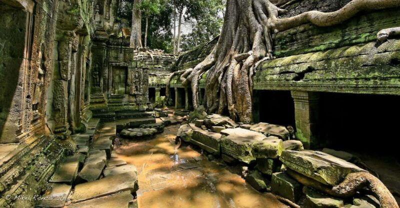 Full-Day Angkor Wat Join-In Group Guided Tour - Itinerary Highlights
