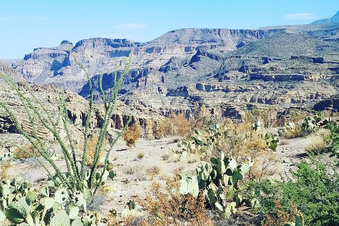 Full Day Apache Trail Adventure Tour From Scottsdale - Steamboat Ride on Canyon Lake