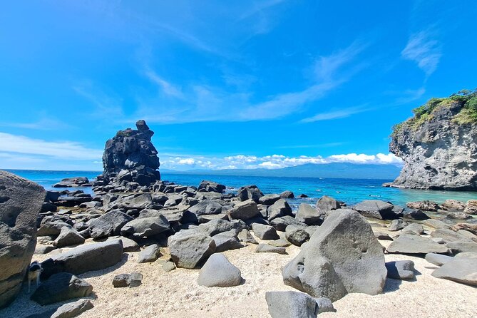 Full Day Apo Island Tour From Dumaguete - Inclusions