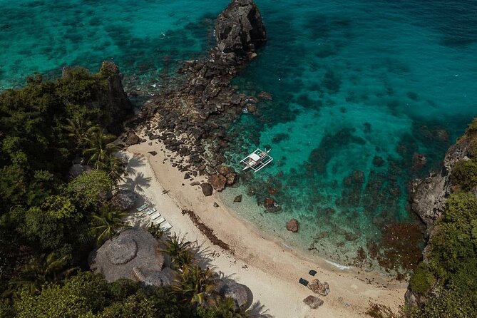 Full Day Apo Island Tour From Dumaguete - Feedback Highlights
