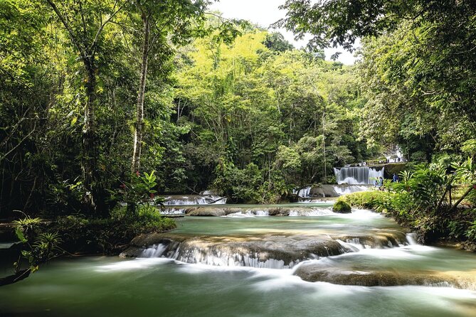 Full Day Appleton Rum, YS Falls and Pelican Bar Group Tour - Appleton Rum Experience