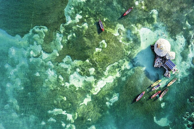 Full-Day Appleton Rum, YS Falls and Pelican Bar Private Tour - Meeting and Pickup
