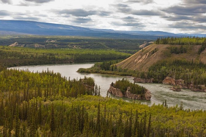 Full Day Arctic Circle Experience With Lunch - Key Points