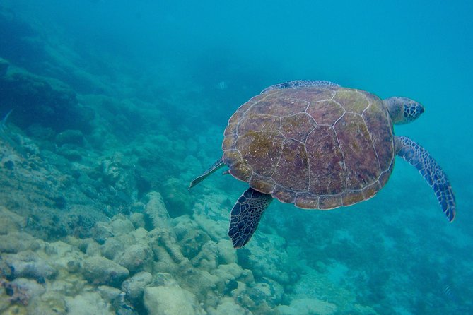Full Day Around the Island of Ilha Grande and Its Beaches - Inclusions and Equipment