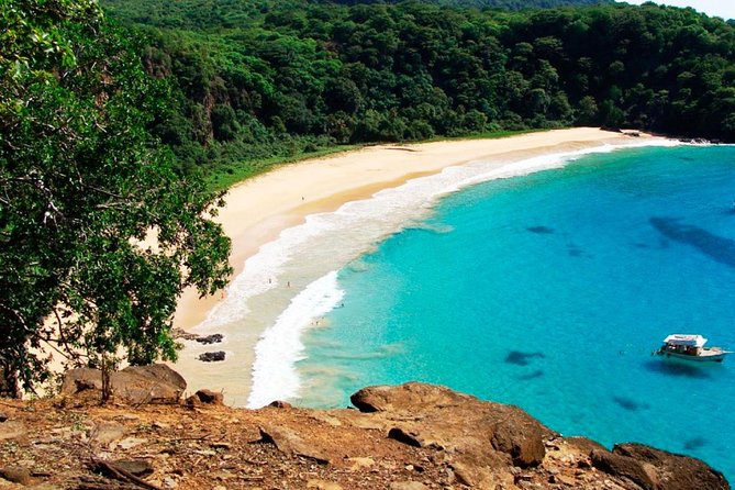 Full Day Arraial D'Ajuda District Tour - Arraial DAjuda District