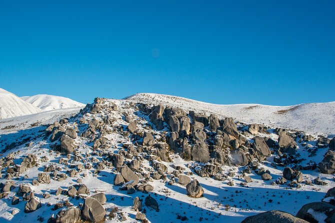 Full Day Arthurs Pass Tour With Tranzalpine Train in New Zealand - Tour Experience