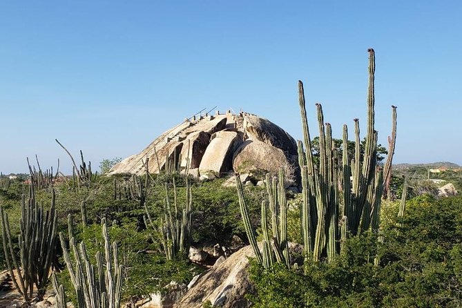 Full-Day Aruba History and Must-See Landmarks Tour - Transportation and Logistics
