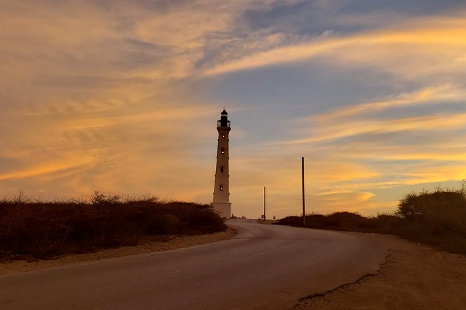 Full-Day Aruba History and Must-See Landmarks Tour - Customer Feedback and Recommendations