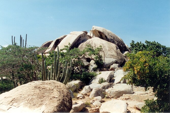 Full-Day Aruba Self-Guided Jeep Rental With Transport - Pricing and Group Size