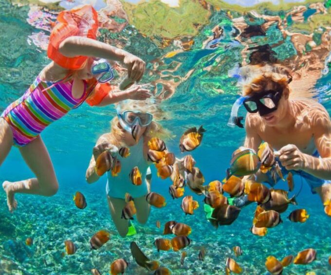 Full Day at Barú Island by Boat: Snorkel + Sunset + Plankton - Snorkeling Experience