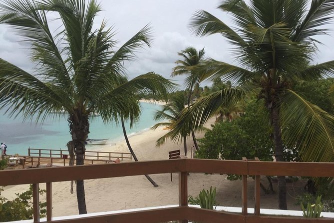 Full-Day at Catalina Island From Santo Domingo With Optional Snorkeling Included - Customer Reviews and Experiences