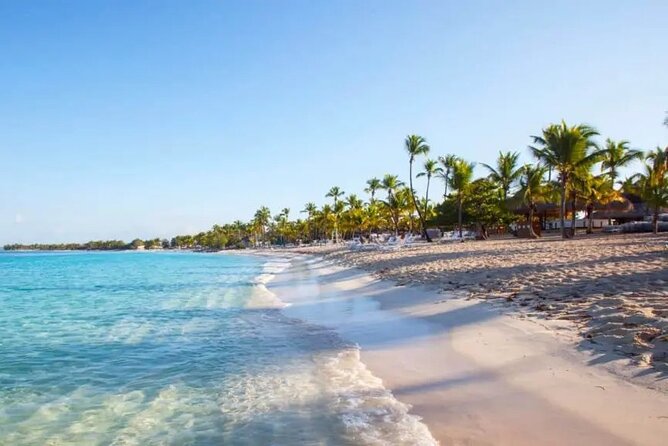 Full-Day at Catalina Island From Santo Domingo With Optional Snorkeling Included - Preparing for Your Catalina Island Adventure