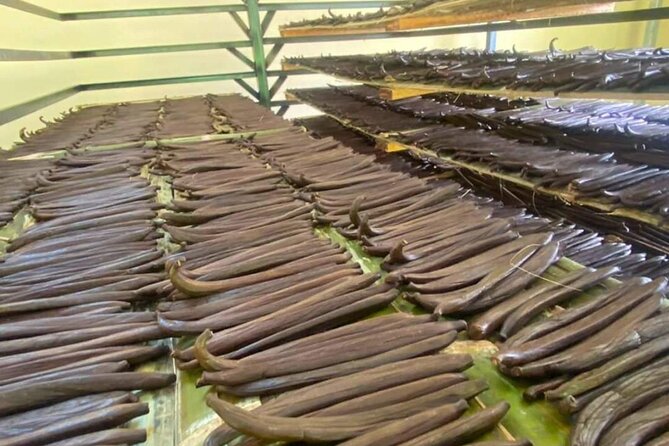 Full Day at Hacienda Cacaoymango and Vanilla Greenhouse. - Enjoying Alcoholic Beverages (Optional)