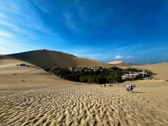 Full Day at Huacachina Oasis: With Private Buggie(Canam)+Paracas - Booking and Payment