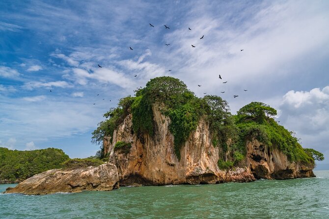 Full-Day at Los Haitises National Park - Traveler Feedback and Testimonials