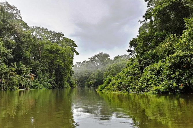 Full Day at Tortuguero Wild Life Observation at Caribbean Side All Inclusive - Key Points