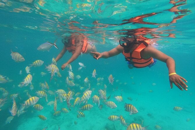 Full Day ATV Experience and Snorkeling Cruise With Open Bar - Highlights of the Day