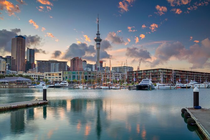 Full-day Auckland City & Rainforest Tour by Car - Pricing and Payment