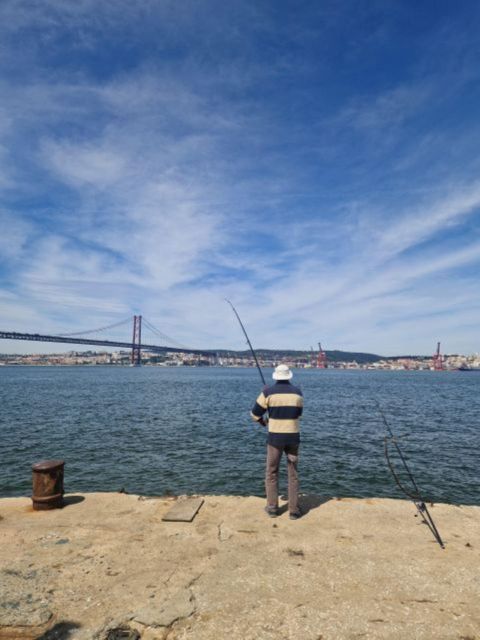 Full Day-Away Day From Lisbon to Lisbon Southbank - Transportation and Accessibility