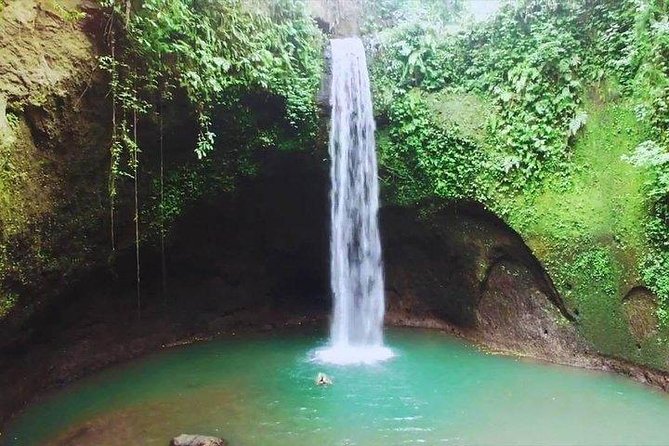 Full-Day Bali Private Customized Tours Create Your Itinerary - Exceptional Customer Reviews
