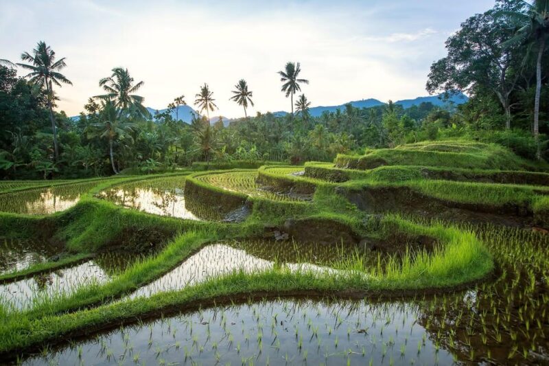 Full-Day Bali Tours With Iconic of Tanah Lot Temple - Itinerary Highlights