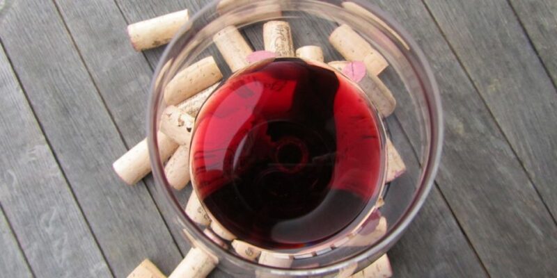 Full-Day Barbaresco Wine Tour With Truffle Hunting and Lunch - Private Guided Truffle Hunt