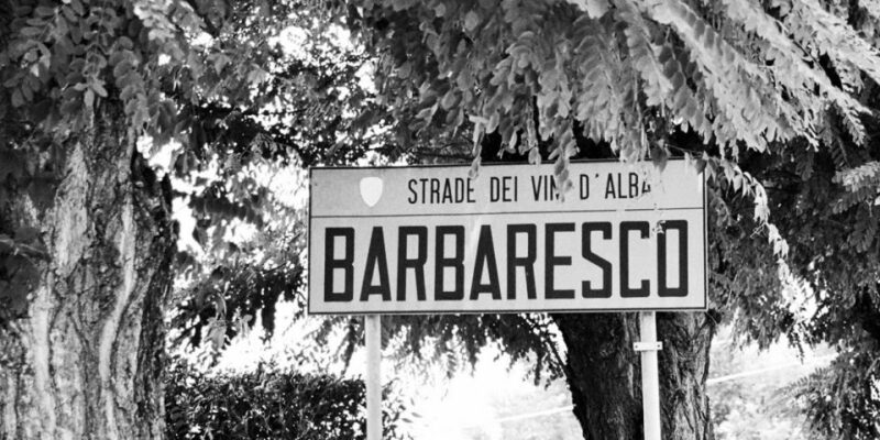 Full-Day Barbaresco Wine Tour With Truffle Hunting and Lunch - Truffles and Tree Roots