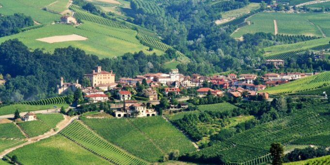 Full-Day Barbaresco Wine Tour With Truffle Hunting and Lunch - Winery History and Production