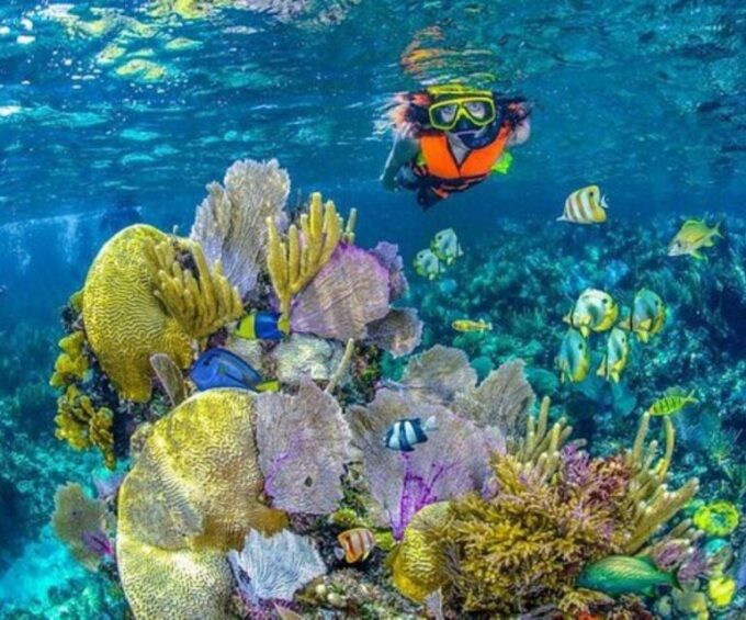 Full Day Barú Island: Mangrove +Snorkel + Sunset + Plankton - Frequently Asked Questions