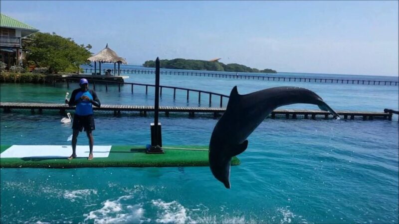 Full Day Baru Premium + Rosario Islands - Customer Feedback