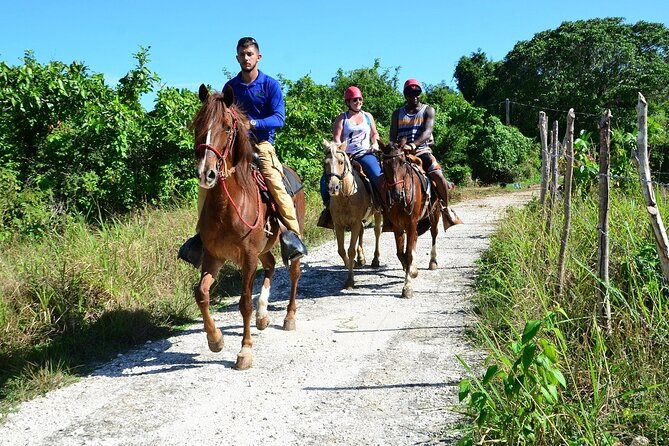 Full-Day Bavaro Adventure Park Packages From Punta Cana - Explore the Bavaro Adventure Park