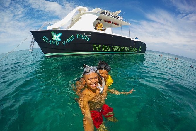 Full Day Beach BBQ Lunch & Snorkeling Excursion in Grace Bay - Customer Feedback and Recommendations
