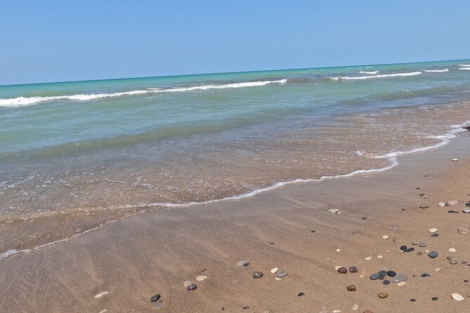 Full-Day Beach Day at Grand Bend - Reviews and Ratings