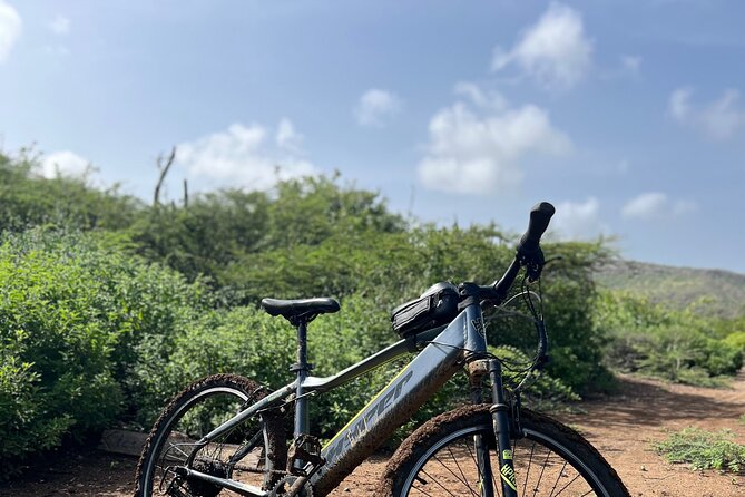 Full Day Beach Hopping Experience in Curacao - Health and Accessibility Considerations