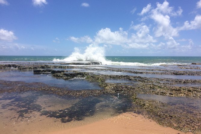Full-Day Beach Hopping Tour From Salvador to Praia Do Forte - Tour Overview