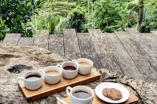 Full Day Best of Bali Volcano Tour Review - Recap