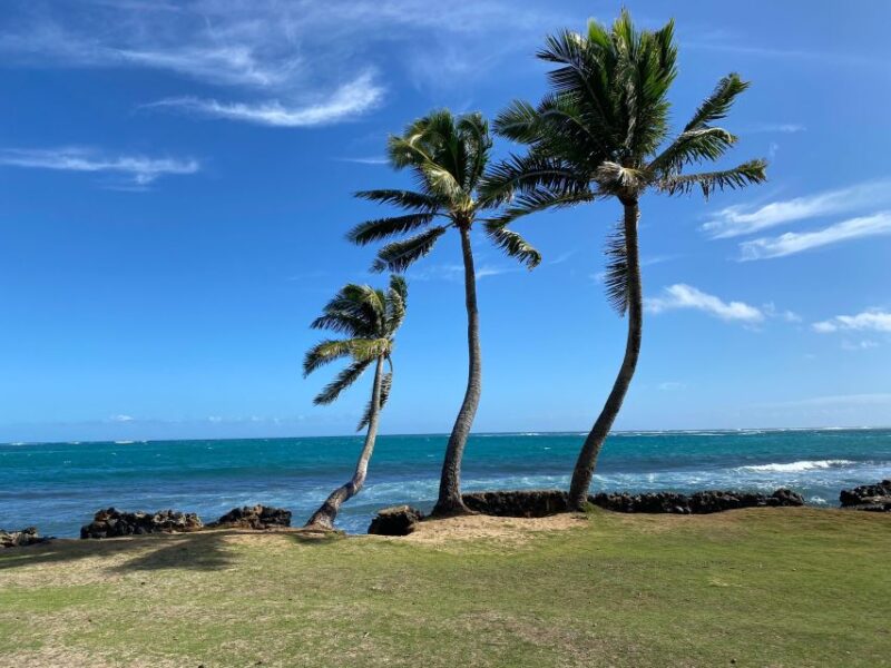 Full Day Best of Oahu Sightseeing Tour - Itinerary Highlights