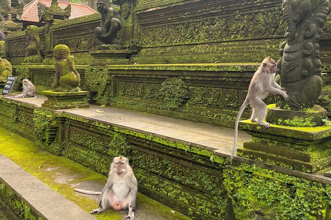 Full Day Best of Ubud Private Tour - Health and Safety