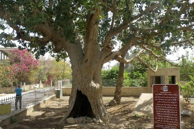 Full Day Bethlehem and Jericho Tour From Jerusalem - Discovering the Wonders of Jericho