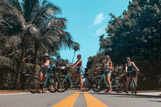 Full Day Bicycle Rental - Accessibility and Participation Requirements