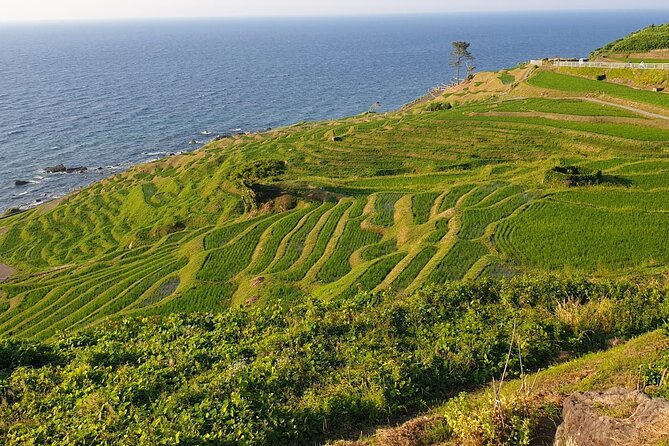 Full-Day Bicycle Tour on the Noto Peninsula - Included in the Tour