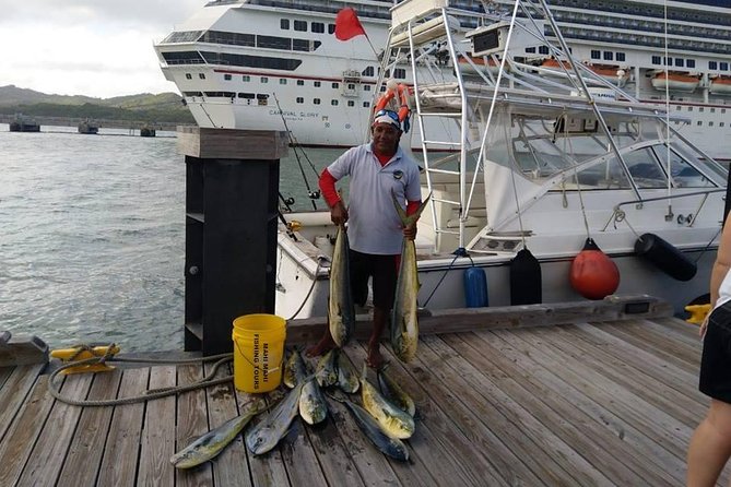 Full Day Big Game Fishing - Customer Reviews and Ratings